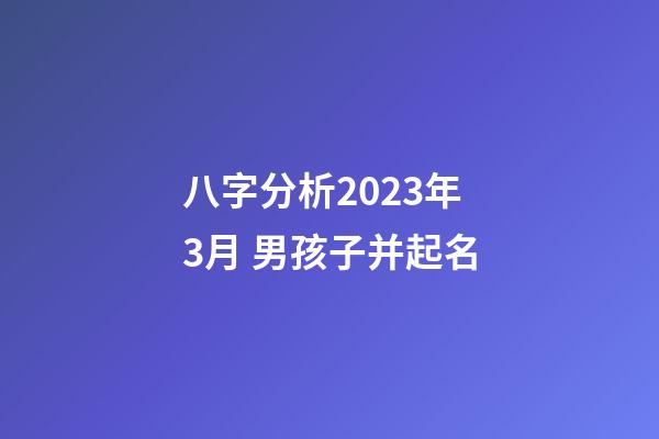 八字分析2023年3月 男孩子并起名